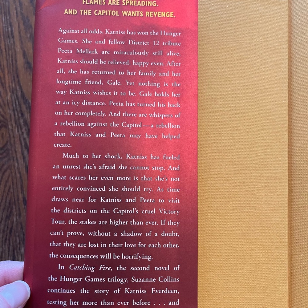 Catching Fire hardback - Picture 2 of 4